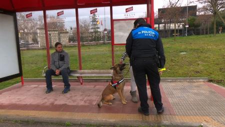 Imagen La Policía Local realiza una exhibición de su futura unidad canina