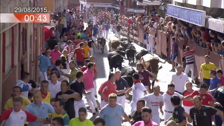 Imagen Quinto encierro de las Fiestas de San Sebastián de los Reyes 2015
