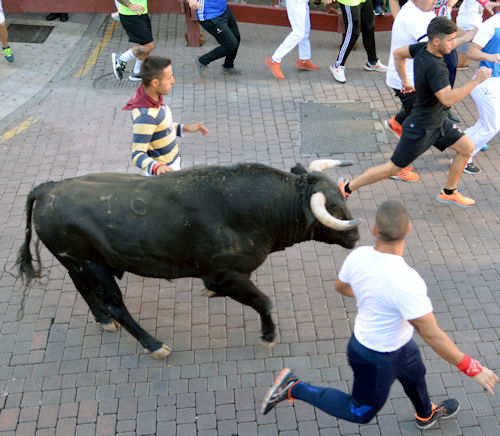 Imagen Encierro 1 de septiembre de 2022