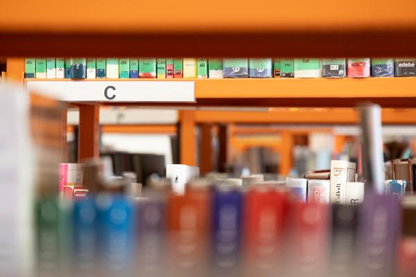 GUÍAS DE LECTURA INFANTILES.jpg