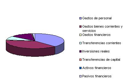 Gastos 2009