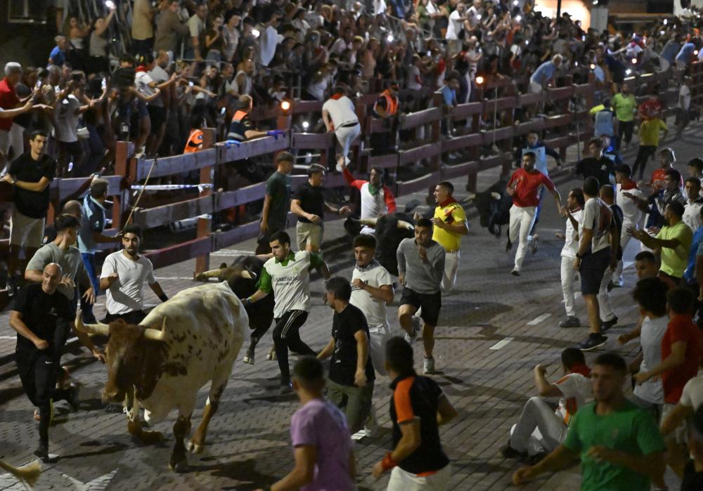 Encierro nocturno 25-08 1.JPG