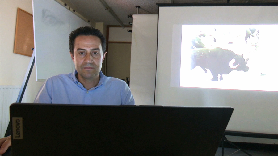 Así son las fotografías de José Luis Cano, un enamorado de San