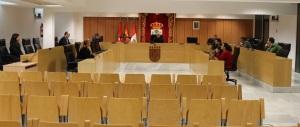 Imagen El Gobierno municipal destina cinco millones de euros para paliar la crisis del Coronavirus en la ciudad
