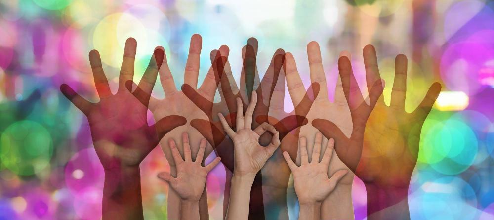 Imagen Sanse lanza una diversa oferta formativa para los jóvenes