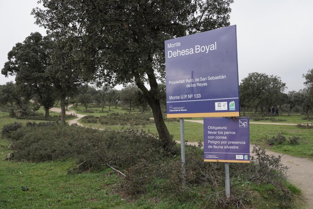 Dehesa Boyal de San Sebastián de los Reyes.