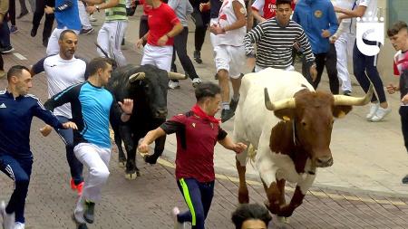 Imagen Intenso y con carreras espectaculares el octavo y último encierro de San Sebastián de los Reyes