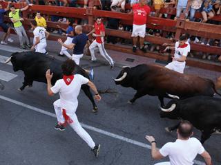 Imagen Los encierros en San Sebastián de los Reyes