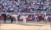 Imagen Gran corrida de toros