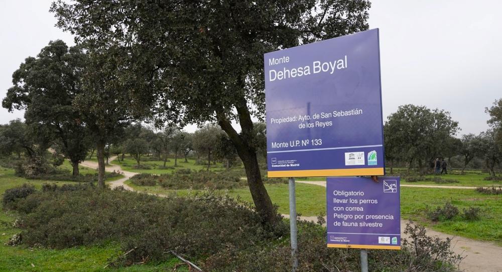 Imagen Esta semana comenzarán trabajos silvícolas en la Dehesa Boyal