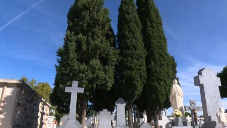 Imagen Horario especial para Todos los Santos en el cementerio de Sanse