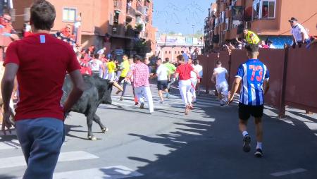 Imagen Siete caídas en Real y dos bueyes rezagados en el segundo encierro de Sanse 2019