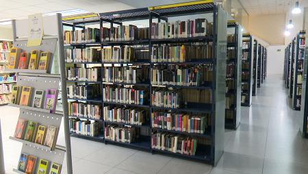 Imagen Las bibliotecas de Sanse cierran el año con las exposiciones “Ciencia...