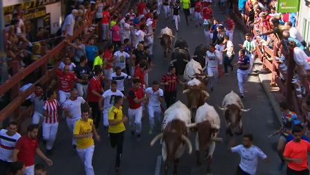 Imagen Encierro de San Sebastián de los Reyes del 31 de agosto de 2019