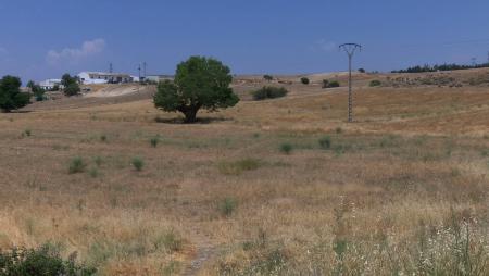 Imagen Sanse promueve la prevención para evitar los incendios forestales en su...