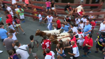 Imagen Grandes y pequeños disfrutan en la trashumancia de Sanse