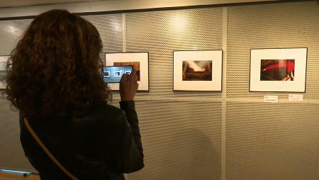 Imagen El Concurso Nacional de Fotografía “El Lobo y el Madroño” abre el plazo...