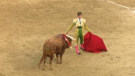 Imagen La novillada con picadores marca el punto y final taurino de las fiestas...