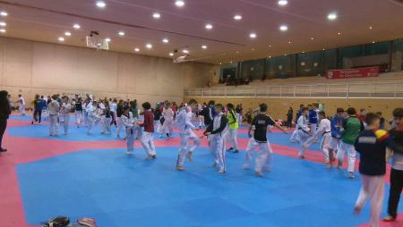 Imagen Sanse acoge la VI edición del International Winter Trainning Camp de taekwondo