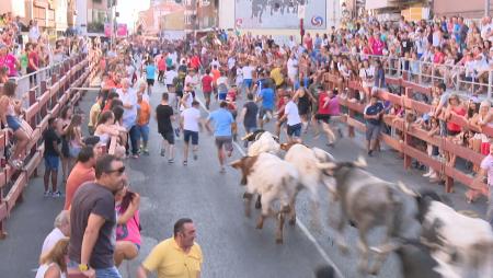 Imagen La Cabestrada por el recorrido del encierro, preludio del inicio de las Fiestas 2017