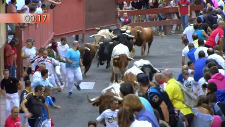 Imagen Segundo encierro de San Sebastián de los Reyes 2017