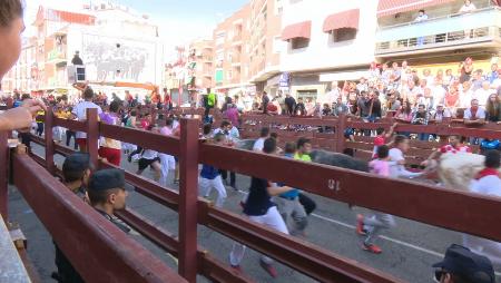 Imagen Manada abierta y rápida en un emocionante cuarto encierro de Sanse