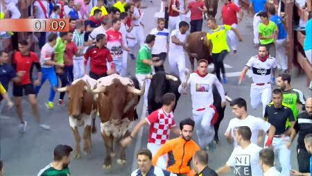 Imagen Quinto encierro de San Sebastián de los Reyes 2017