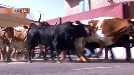 Imagen Segundo encierro de las Fiestas de San Sebastián de los Reyes 2016