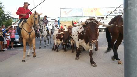 Imagen Las Fiestas de Sanse rinden un tributo especial a la trashumancia