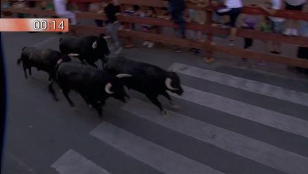 Imagen Tercer encierro de las Fiestas de San Sebastián de los Reyes 2016