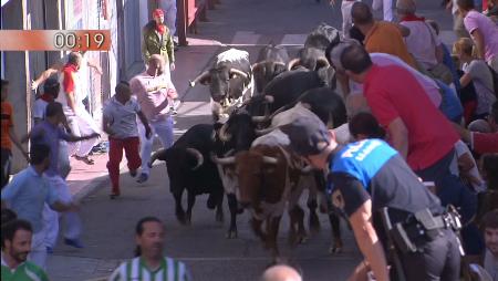 Imagen Cuarto encierro de las Fiestas de San Sebastián de los Reyes 2016