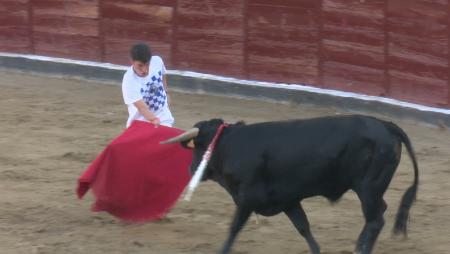 Imagen Las peñas de Sanse celebran su día con la gran becerrada