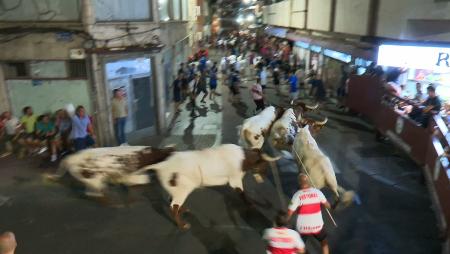 Imagen Y llegó la tradicional cabestrada, el encierro nocturno que antecede a...