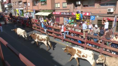 Imagen El encierrillo de Sanse, mucho más que una carrera de cabestros