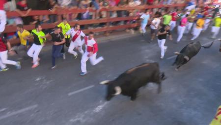 Imagen Manada muy templada y gran participación en el primer encierro de Sanse 2015