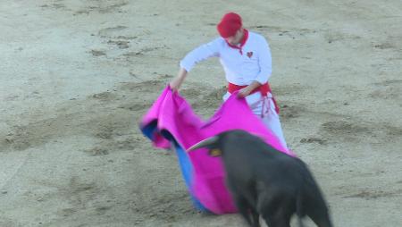 Imagen Las peñas de Sanse se echaron al ruedo de La Tercera en la tradicional becerrada