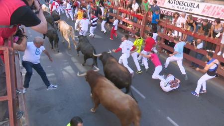 Imagen Toros rápidos y hermanados en el cuarto encierro de Sanse 2015