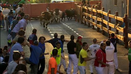 Imagen Primer encierro de las Fiestas de San Sebastián de los Reyes 2014