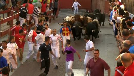 Imagen Tercer encierro de las Fiestas de San Sebastián de los Reyes 2014