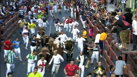 Imagen Cuarto encierro de las Fiestas de San Sebastián de los Reyes 2014