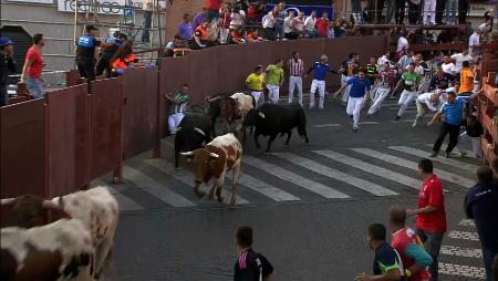 Imagen Quinto encierro de las Fiestas de San Sebastián de los Reyes 2014