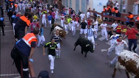 Imagen Sexto encierro de las Fiestas de San Sebastián de los Reyes 2014