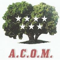 Viaje Lúdico a Selva Negra en Alemania (ACOM)