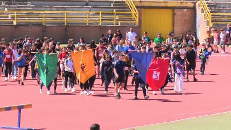 Imagen Las casas mitológicas del Instituto Atenea corrieron contra la leucemia infantil