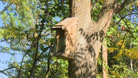 Imagen El Centro de Naturaleza organiza una jornada ornitológica gratuita para...