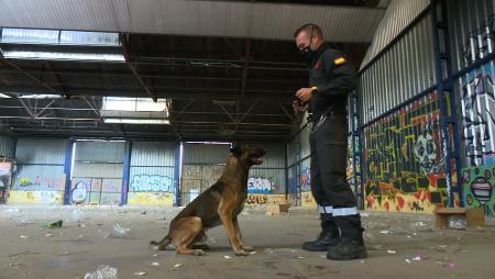 Imagen La UME realiza en Sanse un entrenamiento canino para encontrar personas...