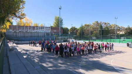 Imagen Sanse Concilia inicia el curso escolar con un amplio programa para hacer...