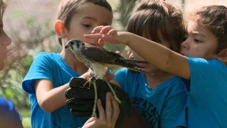 Imagen Un acercamiento a las aves rapaces en los campus de verano de Sanse