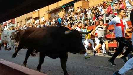 Imagen Mejores momentos de los encierros de San Sebastián de los Reyes 2019