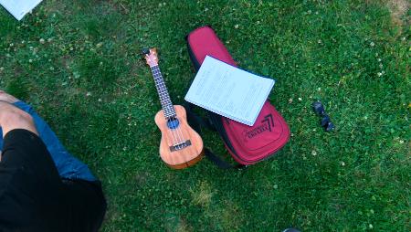 Imagen Quedadas de ukelele en el Parque de la Araña de Sanse